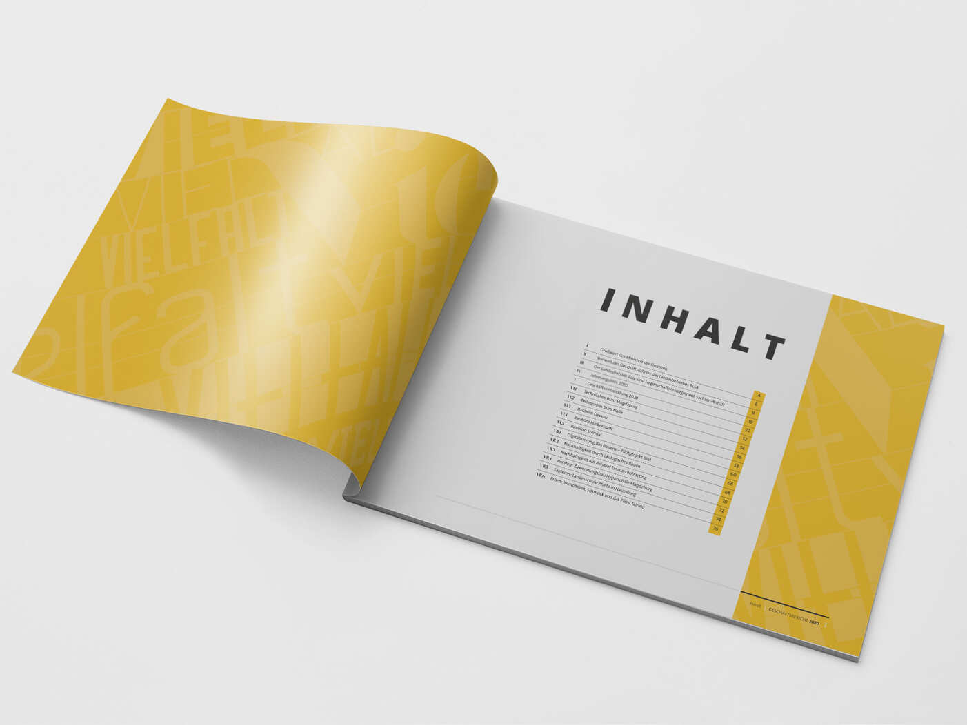 08_Magazine-Mock-up-2-_-Horizontal