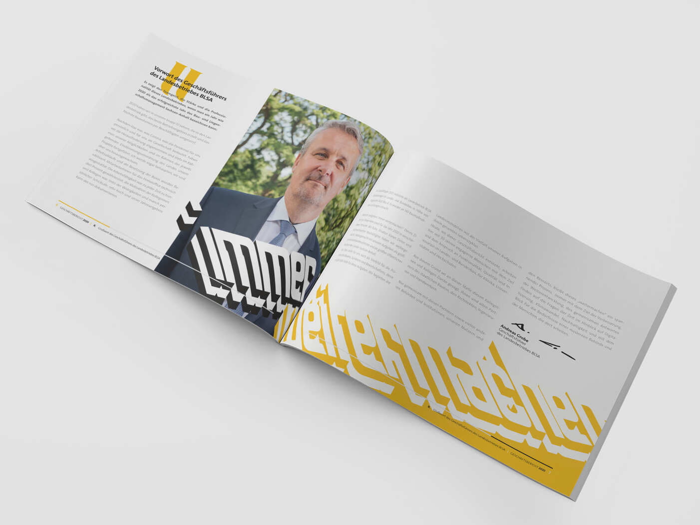 03_Magazine-Mock-up-2-_-Horizontal