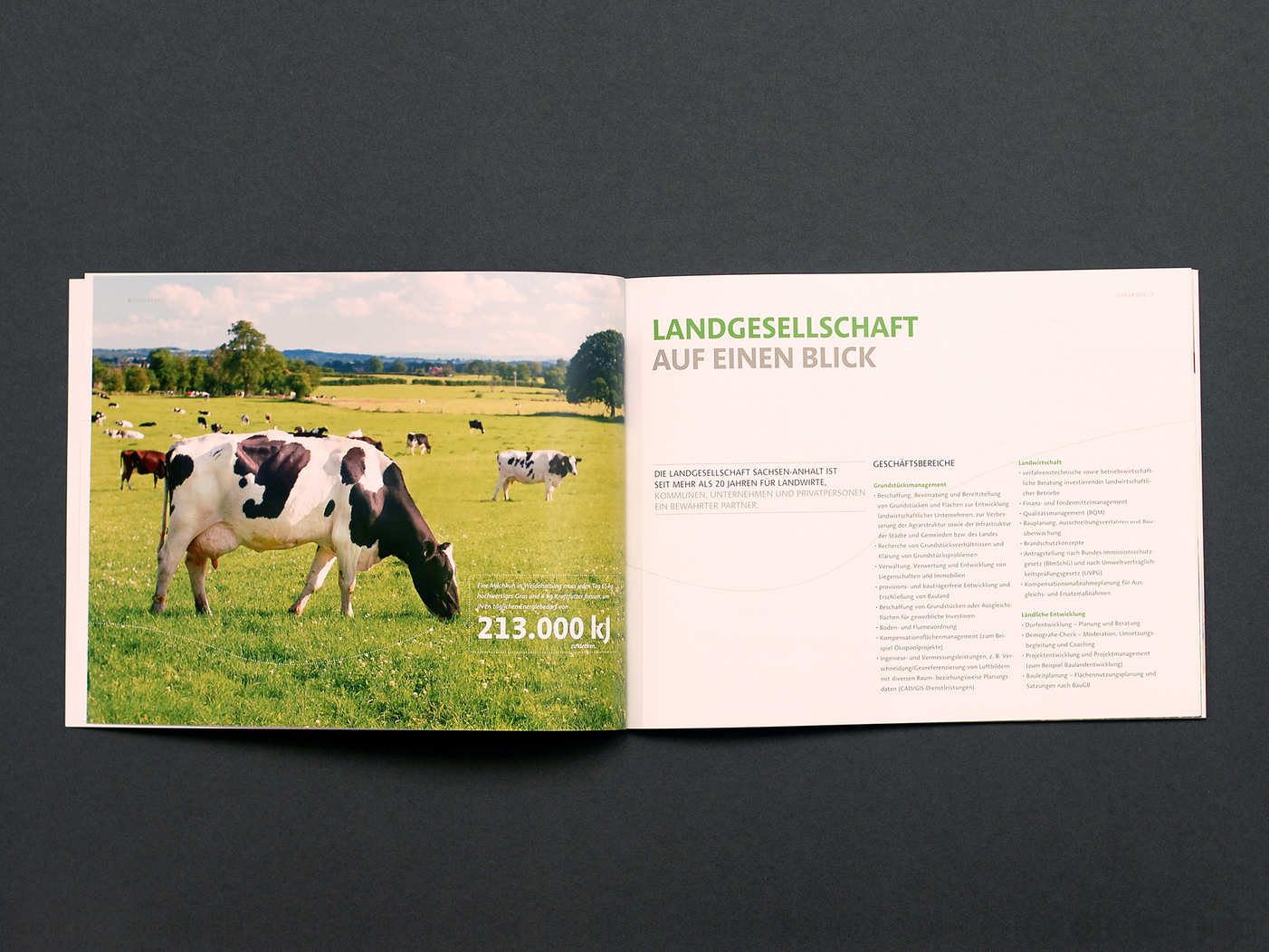 140528_LGSA-13-0174_Geschaeftsbericht_2012_WebRef_1920x14406