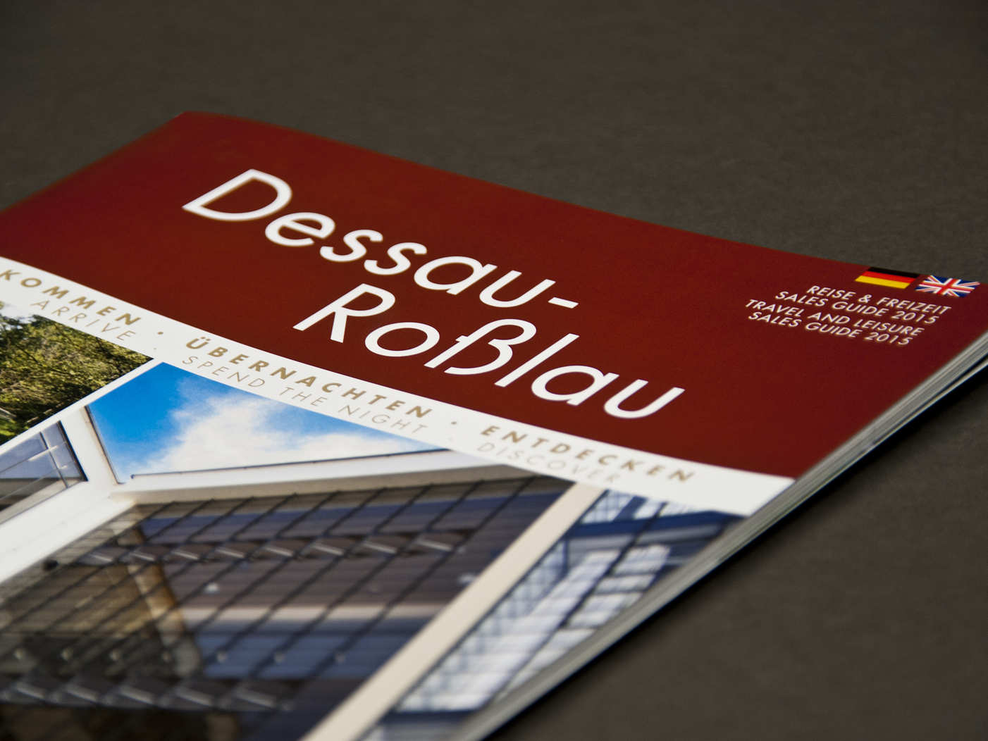 SalesGuide2015_2